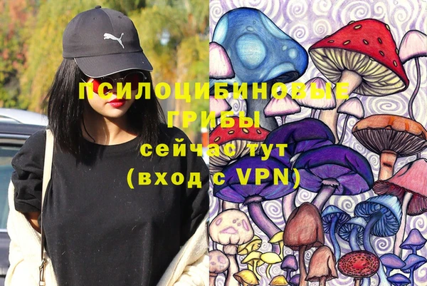 спайс Абинск