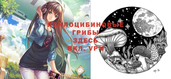 не бодяженный Абаза