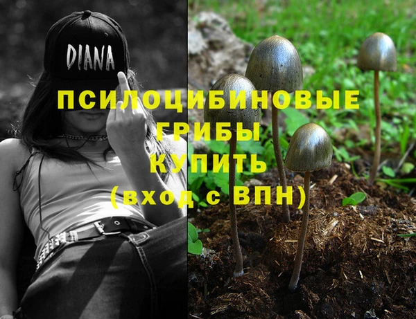хмурый Абдулино