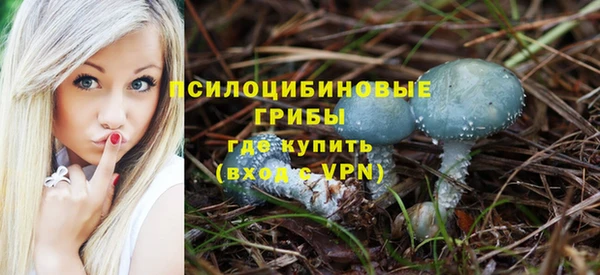 спайс Абинск