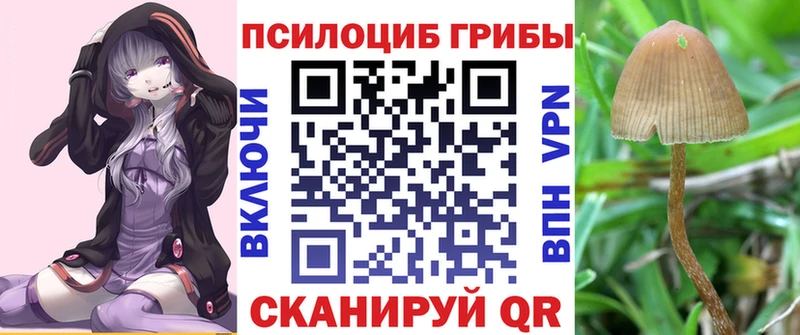 Галлюциногенные грибы Psilocybine cubensis  Нижняя Тура 